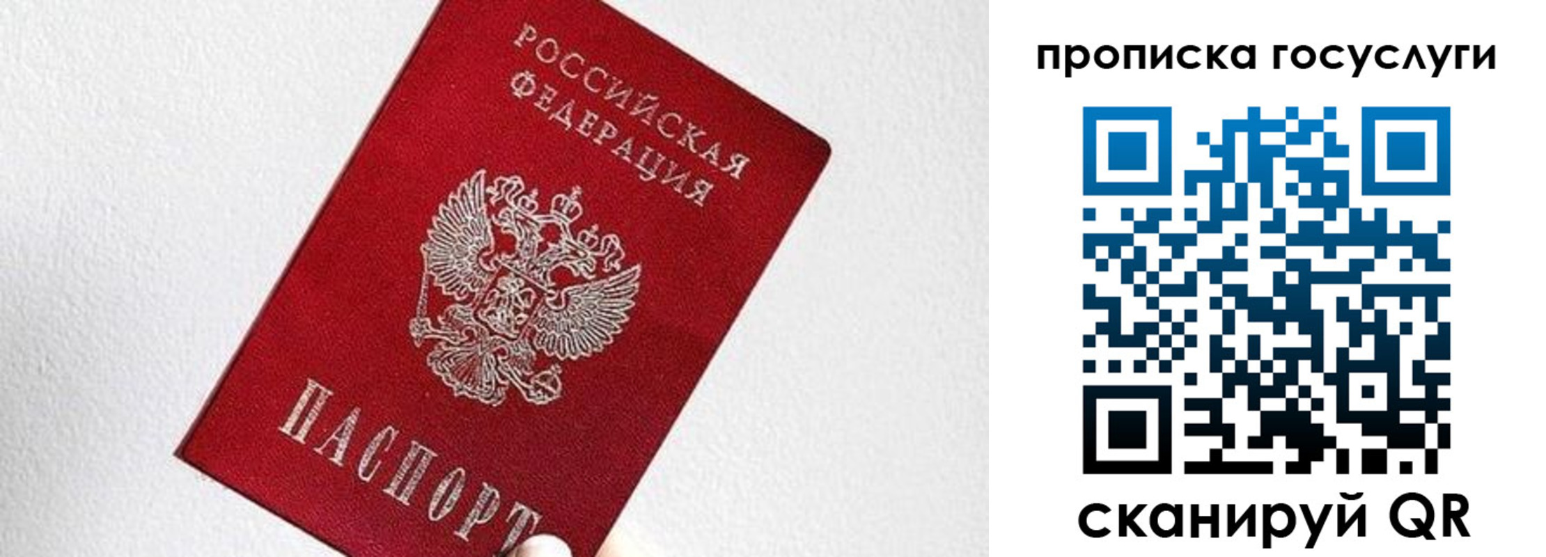 прописка законно в Юрьев-Польском